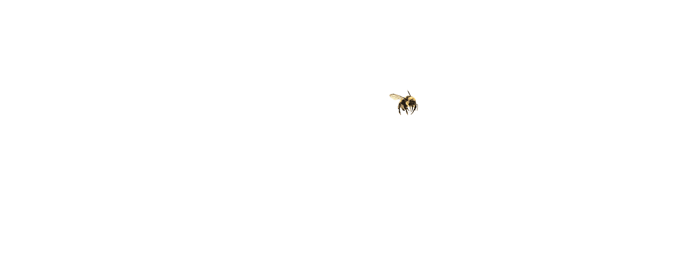 Abeille