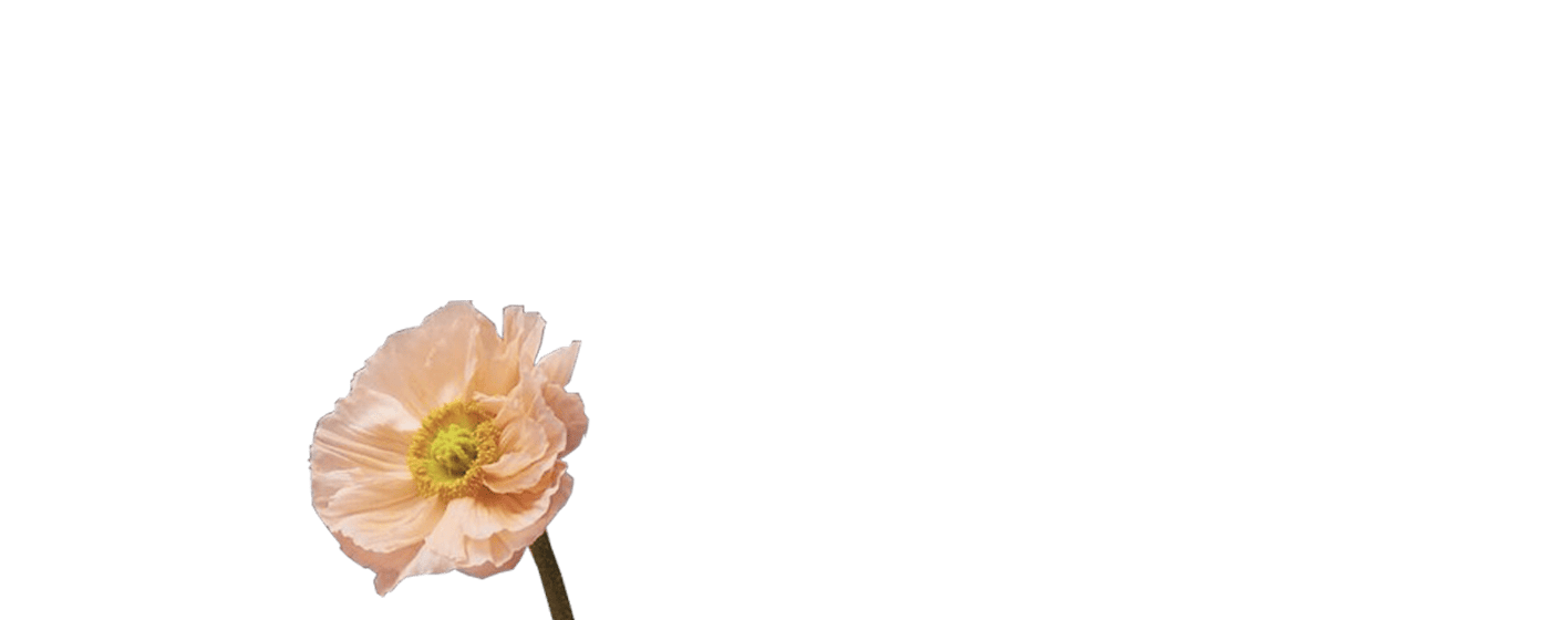 Fleur 1